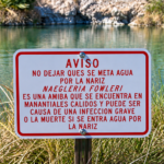 300 personas bajo vigilancia médica en Yucatán por ameba “come-cerebros”